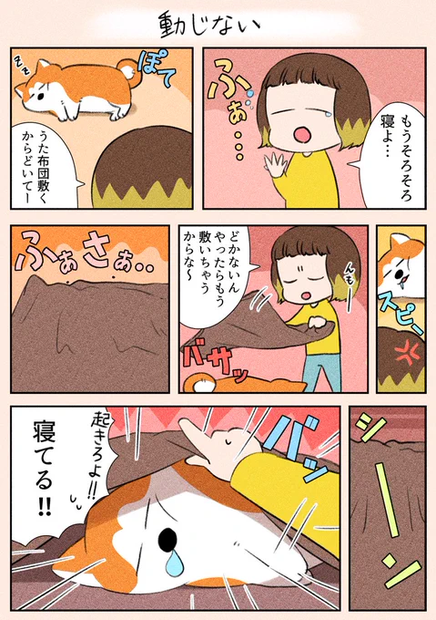 夜遅くにすみません!
「動じない」
びっくりして起きたりするのかな…と思ったら全く気にせずなうたでした(笑)

#漫画が読めるハッシュタグ
#日常
#犬 