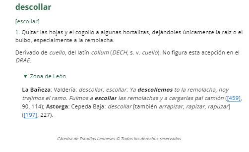 ulefhyc's tweet photo. #LéxicoLeonésActual de #LeMen hoy es #LELEA1840 descollar,  #LELEA #LLA https://t.co/Hl9FONQiN4