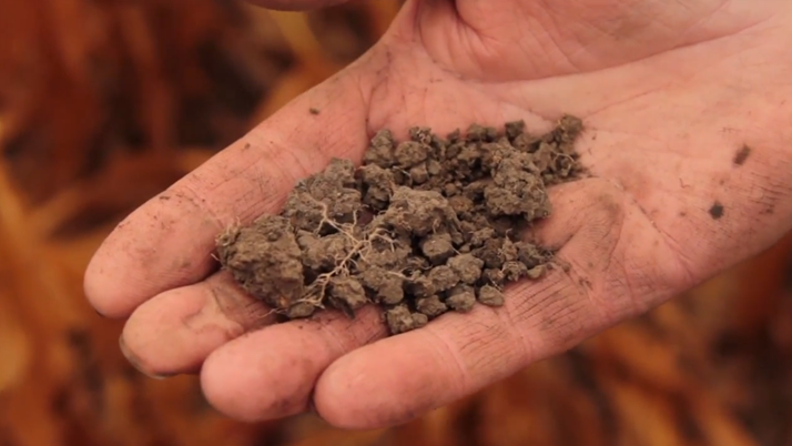 It's not about how much moisture you get - it's about how much you keep. Take a two-minute virtual tour and learn how healthy soil helps you retain more moisture. bit.ly/3rCTKlS #soilhealth