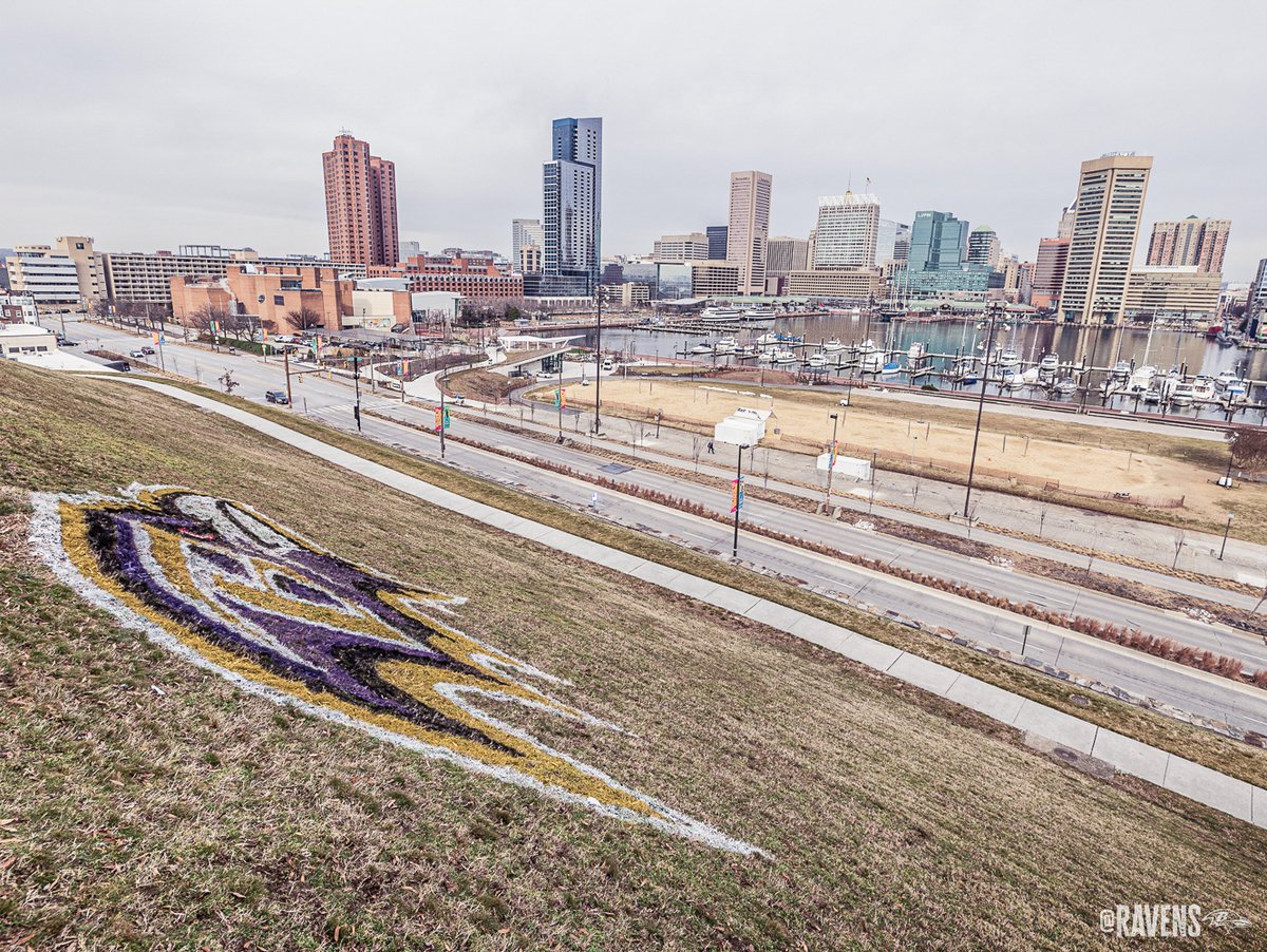 Ravens's tweet photo. Paint the town purple 😈 https://t.co/5DVpwjmcLq