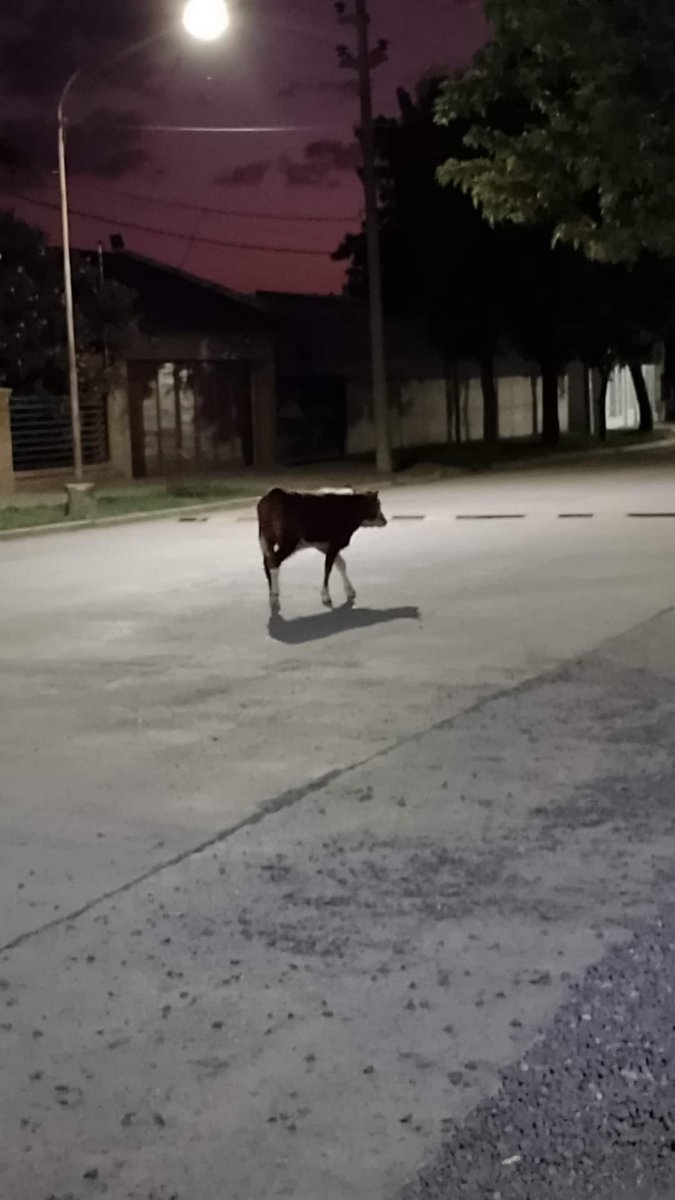 Decime que sos de pueblo, sin decirme que sos de pueblo