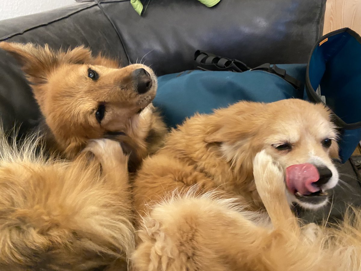 0xB17's tweet photo. That’s the spot. @fluffmyfeed https://t.co/k3QMeVnAnP