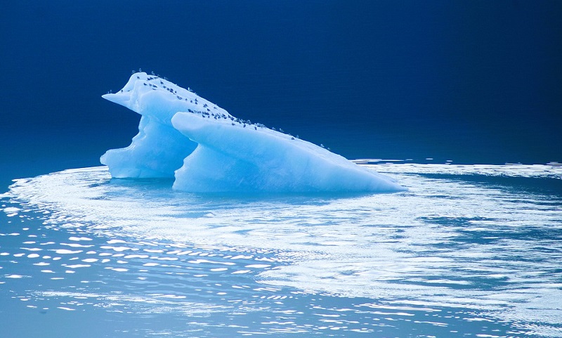 conexaoplaneta's tweet image. Duas de cada três #geleiras do planeta podem desaparecer até 2100. Mundo pode perder mais de 80% das geleiras caso continuemos a investir em #combustíveisfósseis. Alerta é de grupo de cientistas internacionais em artigo publicado na revista Science: bit.ly/3IzG1Fr