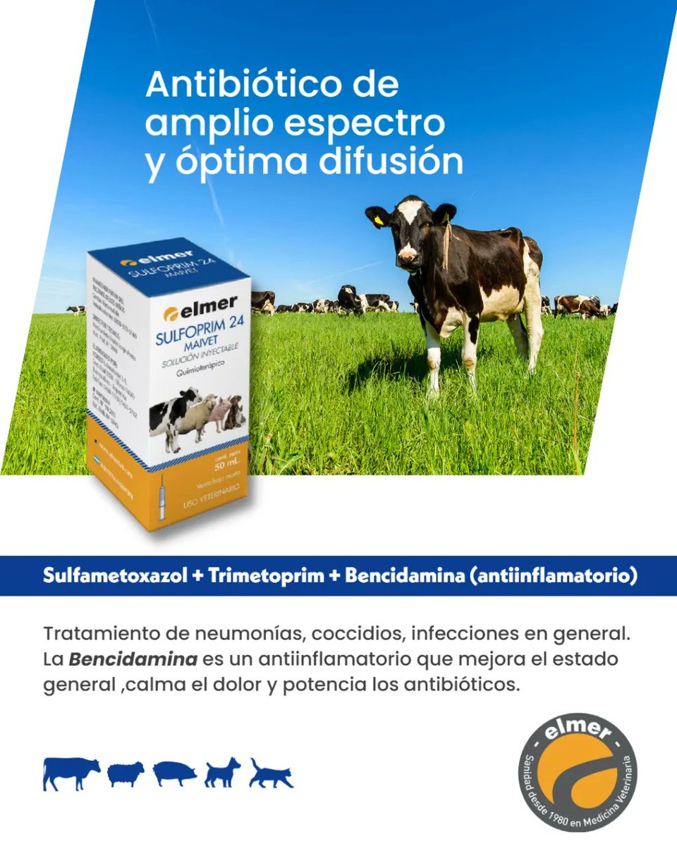 Elmer_Vet's tweet photo. Sulfoprim 24
Quimioterápico
Solución inyectable
Uso en medicina veterinaria
Bovinos, ovinos, porcinos, caninos y felinos

https://t.co/4gSy6zuoOE

#LaboratorioElmer #MedicinaVeterinaria #Veterinaria #Salud #porcinos #bovinos #ovinos #caninos #felinos #quimioterápico #sulfoprim24 https://t.co/wiI26xlLxA