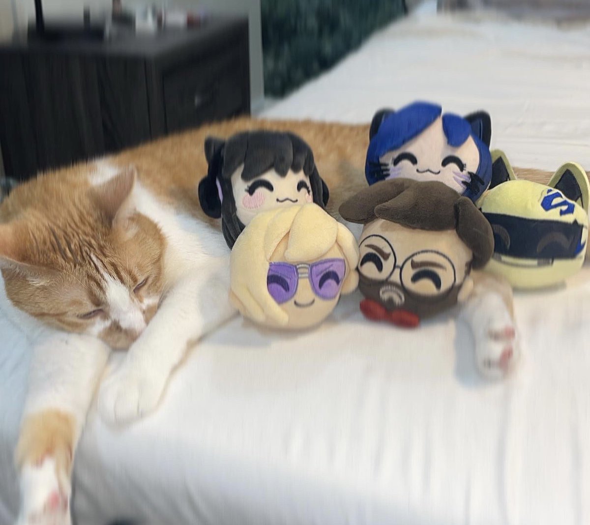 DrumsyOfficial's tweet photo. Please help this feral cat is holding me hostage
Selecting people who retweet this and follow @youtooz to win a plushie set!
Seriously he keeps hurting me help https://t.co/Z9Tds5ibMM