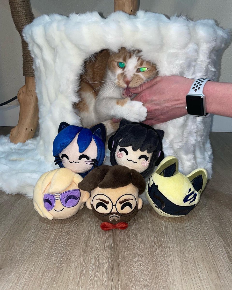 DrumsyOfficial's tweet photo. Please help this feral cat is holding me hostage
Selecting people who retweet this and follow @youtooz to win a plushie set!
Seriously he keeps hurting me help https://t.co/Z9Tds5ibMM