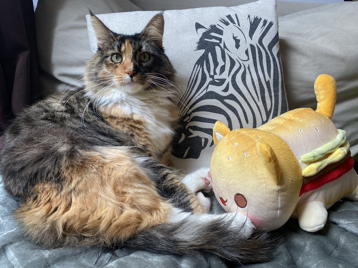 valonia_art's tweet photo. Montrez vos plus beaux avant/après de vos animaux✨🥰 

On va faire briller la TL de tout le monde https://t.co/S70ga8GGaL