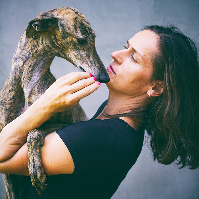 SOS Levrieri tweet media