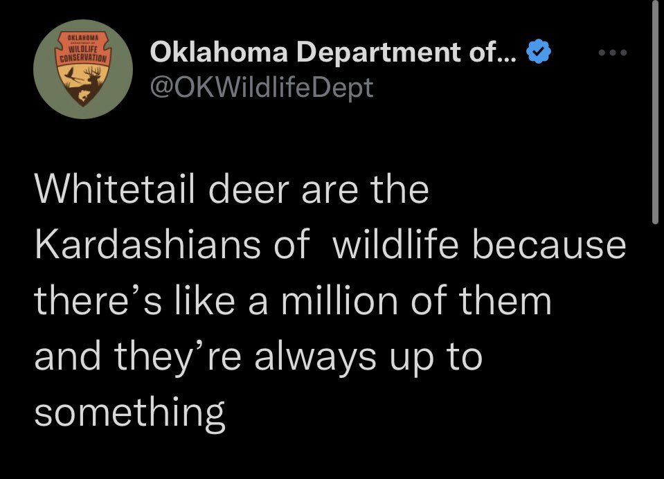 HeffLudwig's tweet photo. Why do state wildlife agencies hire the best social media managers? 

Give ‘em a raise @OKWildlifeDept https://t.co/Iri2Hq1Okz
