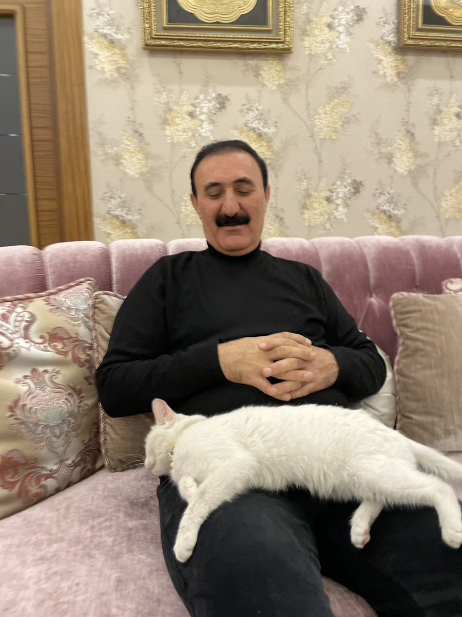 Önce poz verdi sonra uyuyakaldı.Bir kedinin dostluğu binlerce ilaçtan çok daha şifalıdır.