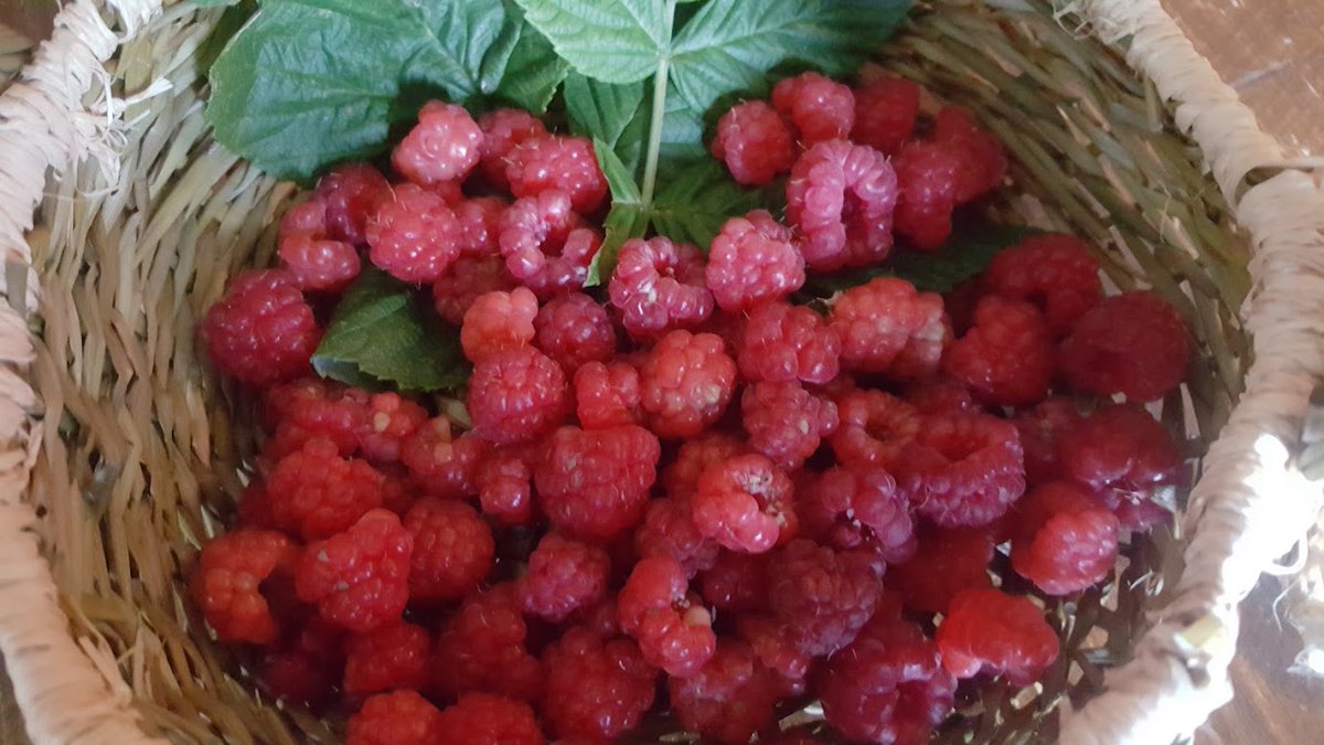 FeliciaSolaris's tweet photo. The immune system is a 365 days challenge and constant care lifestyle. Losing it is so easy. Boosting it takes time. Preserving it is quite a mastery. Qigong is the path.
#qigong #immunity #health #humans #feliciagabrielaportase #healthcoach #solarismoonclub #gratitude #creative https://t.co/NWTiAdi6at