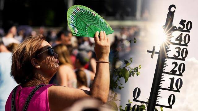 2022 yılı, bugüne kadar ölçülen en sıcak beşinci, Avrupa'da ise en sıcak ikinci yıl oldu.