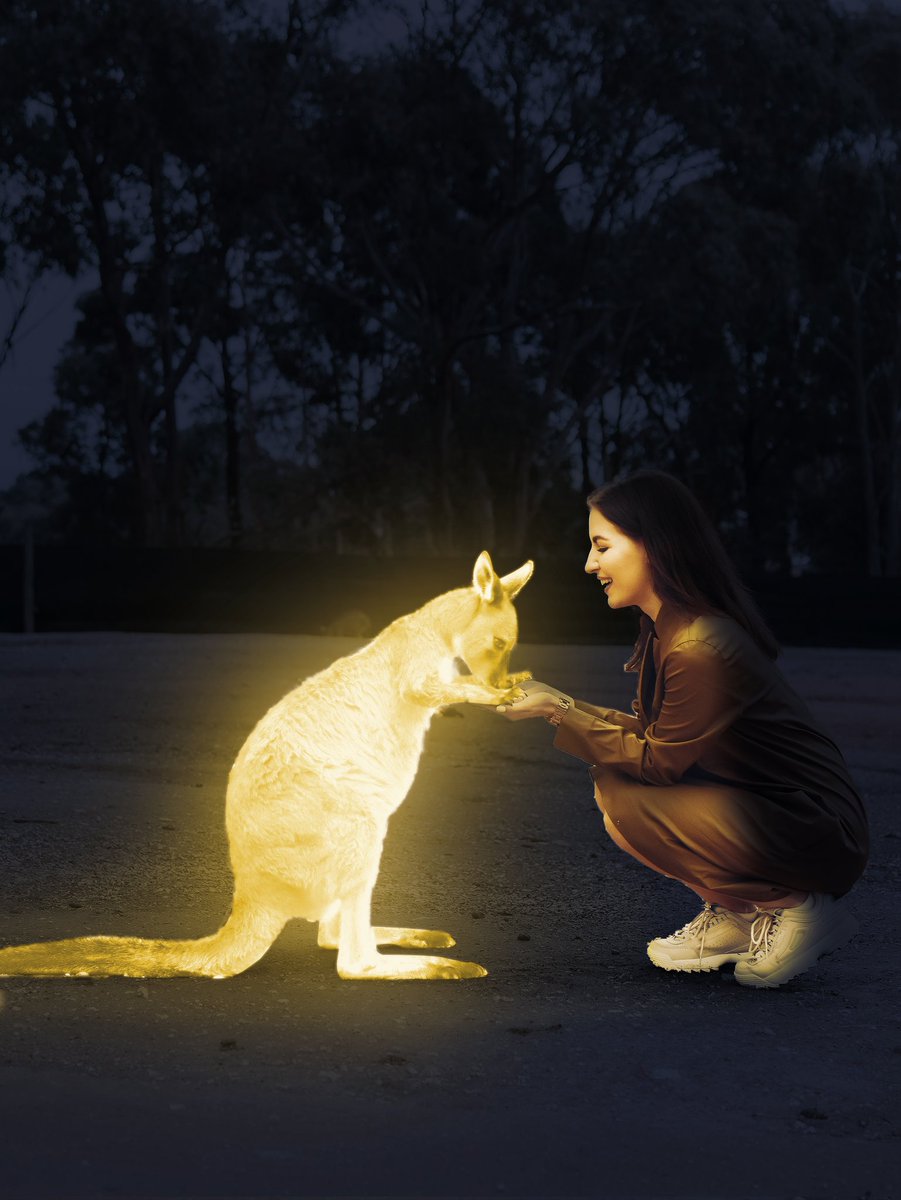 XSpart's tweet photo. Be a friend 🧡,, 
They will "Help You",,,,, 
Beautiful❤ to form and create 😉
#photoshop #xspart #spartxranger #Trending #Adobe #adobephotoshop 
#edits #TrendingNow https://t.co/YQAF9U5eWP