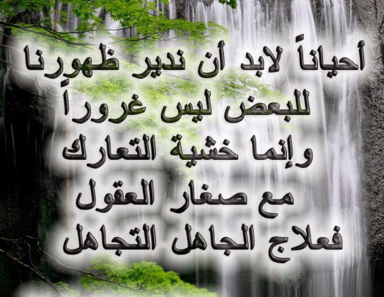 malak tweet media
