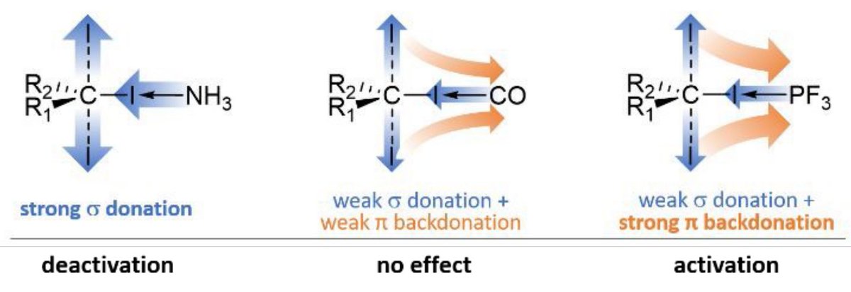 KennepohlGroup's tweet photo. Look: pi-backbonding in a halogen bond can enable catalysis... we're looking forward to the discussion at the upcoming @Faraday_D #NonCovalent https://t.co/VteMqhKHqE 1/2 https://t.co/9gdSNgJewa
