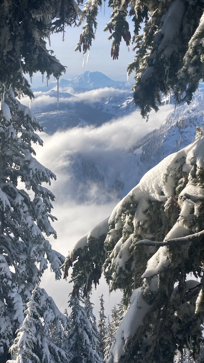 SummitSnow411's tweet photo. Mount Rainier in the distance with Alpental peeking through. Can you spot Armstrong Express?

Photo: Andrew Eckels https://t.co/05I1w8mnqy