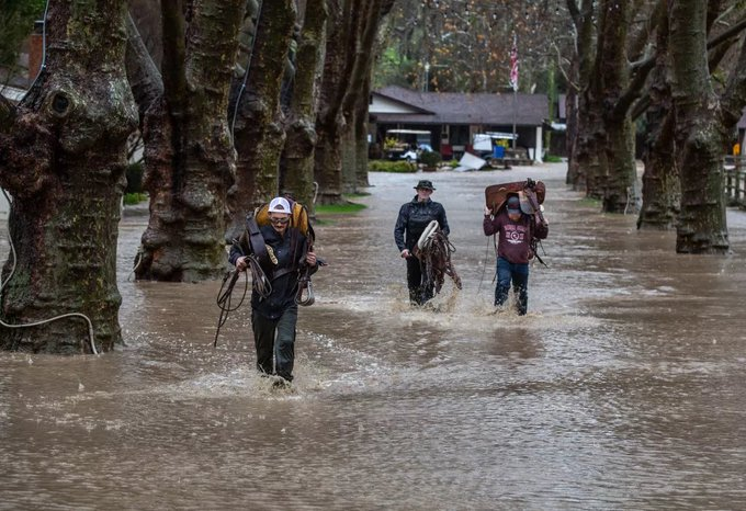Syndicate650's tweet image. 随着更多的降雨和风袭击加州，加州风暴死亡喏人数达到16人，一些列强烈的风暴继续袭击被家长，随着极端天气造成的死亡人数攀升，加州公路巡警发言，周二早上，99号公路路上发送车祸，两名驾车者死亡，事故原因是一问一颗树被闪电击中掉在树上