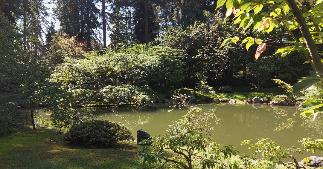 "Beautiful, tranquil garden with many great design details. My favourite part was the tea house, which made for a lovely online meeting background." - Andrew

Visit Nitobe Wednesday - Sunday from 10 am - 2 pm

📸: Hayley Yip, Volunteer

#nitobegarden #japanesegarden #ubc