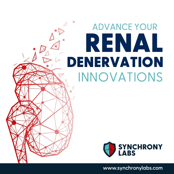 Need to advance your renal denervation innovations? We have the experts to design your study for real-world usage to test, transfer or prove the outcomes needed to take your advancements to the next level. For all of your specialized study needs, contact us today. #synchronylabs