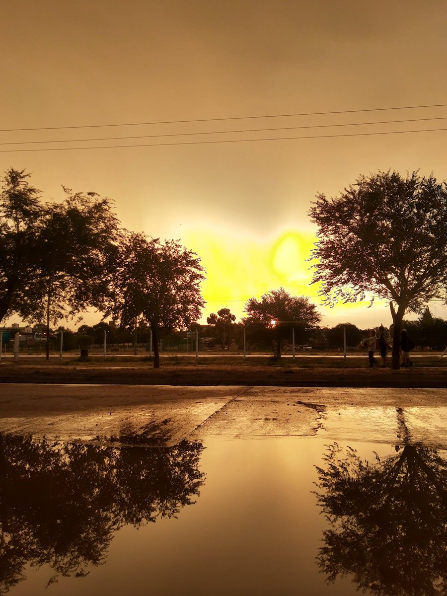 La belleza después de la tormenta.