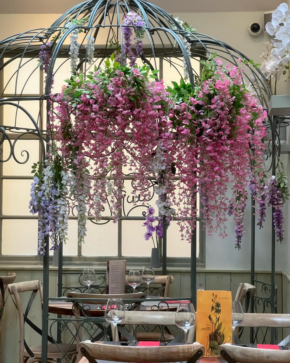 Helen Manchip - The Social Surgery tweet media