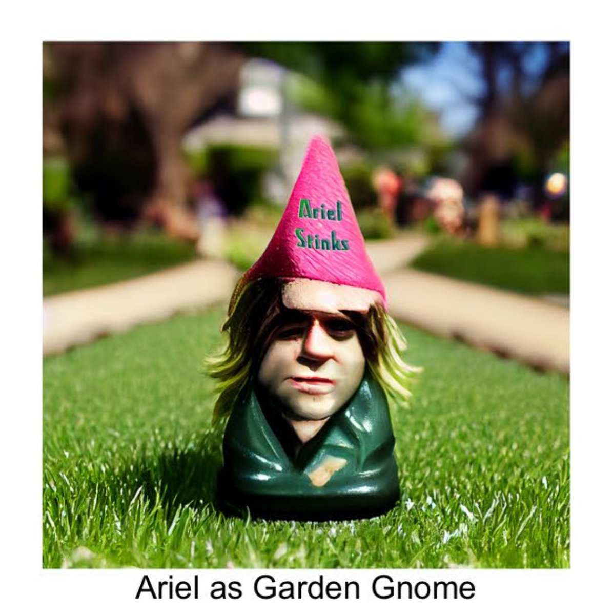 jillsparkle's tweet image. Just discovered that @arielxpink used my unauthorized photo on an album cover. In response, I made 50 alternative album covers featuring Ariel instead of me. Need an album cover? Need 50? jillmiller.net/#/ariel-stinks/
#arielpink