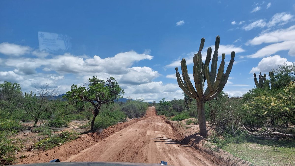 GobernacionCbba's tweet photo. El gobernador Humberto Sánchez inauguró 4,10 kilómetros de mejoramiento y apertura de camino en la ruta 4504, en el tramo Peña Colorada – Robles, que beneficia a los pobladores de los municipios de #Omereque y #Pasorapa, como una vía alternativa para dinamizar la economía. https://t.co/RIZzpfyXny