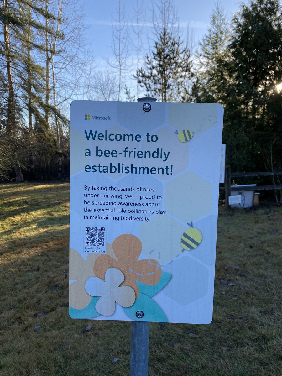 CristinGoodwin's tweet photo. OMG we have bees!  🐝!!! On @Microsoft’s campus!  Went on my first walking meeting of 2023 (because ☀️) and we came across this little slice of wonderful! 🐝💕 https://t.co/OgD58l2AQK