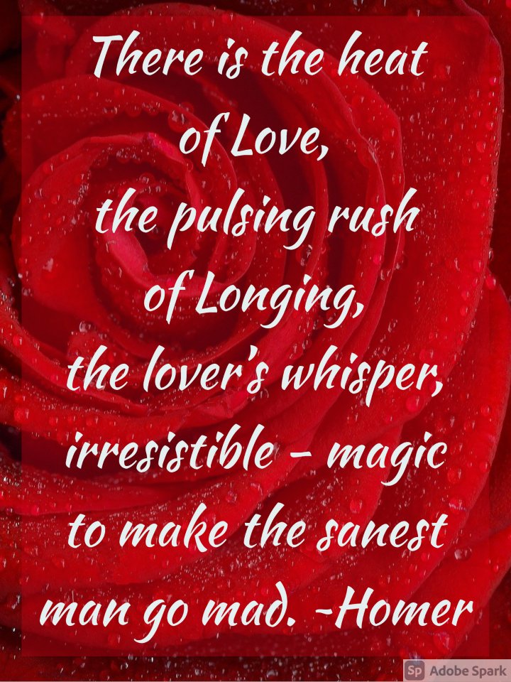 LilacLakePress's tweet photo. Ah, romance! One of our favorite genres, with the most loyal readers. We've been reading Christina Lauren, Colleen Hoover, and Emily Henry. 
Give us your #romance #BookRecommendations - #IndieAuthors encouraged! 
#BookLover #AmReading #Love https://t.co/EHcsTtGgSF