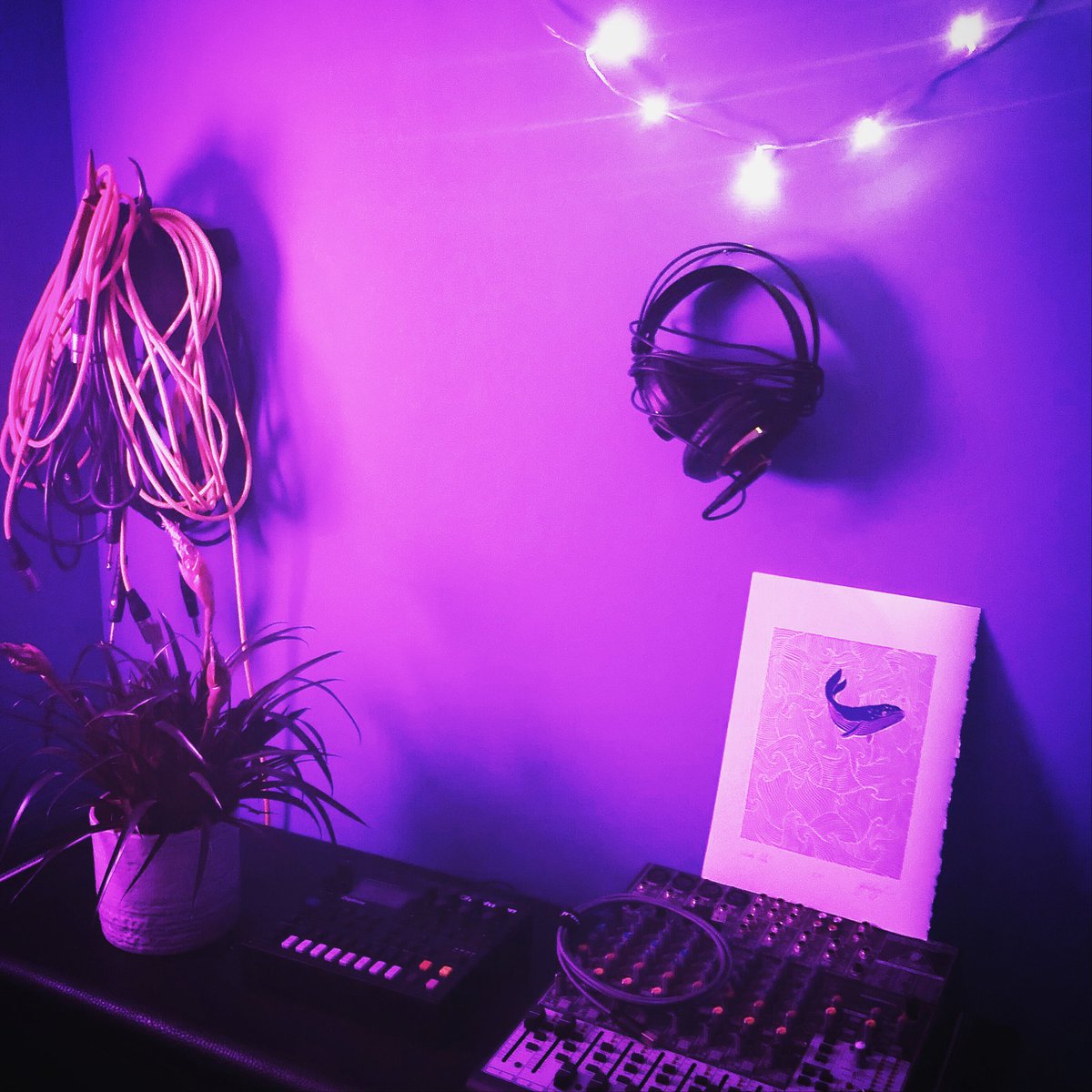 O5audio's tweet image. Behind the scenes in my new studio⚡️

#digitone #homerecordingstudio #behindthescenes #homestudio #musicproducer