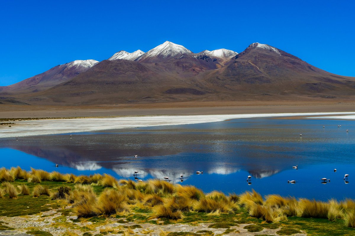 Uyuni Salt Flats trip was one of the kind! 🇧🇴#travel #nature #backpacking #travelphotography #TravelTheWorld #adventuretime #hikingadventures #parkchat #neverstopexploring