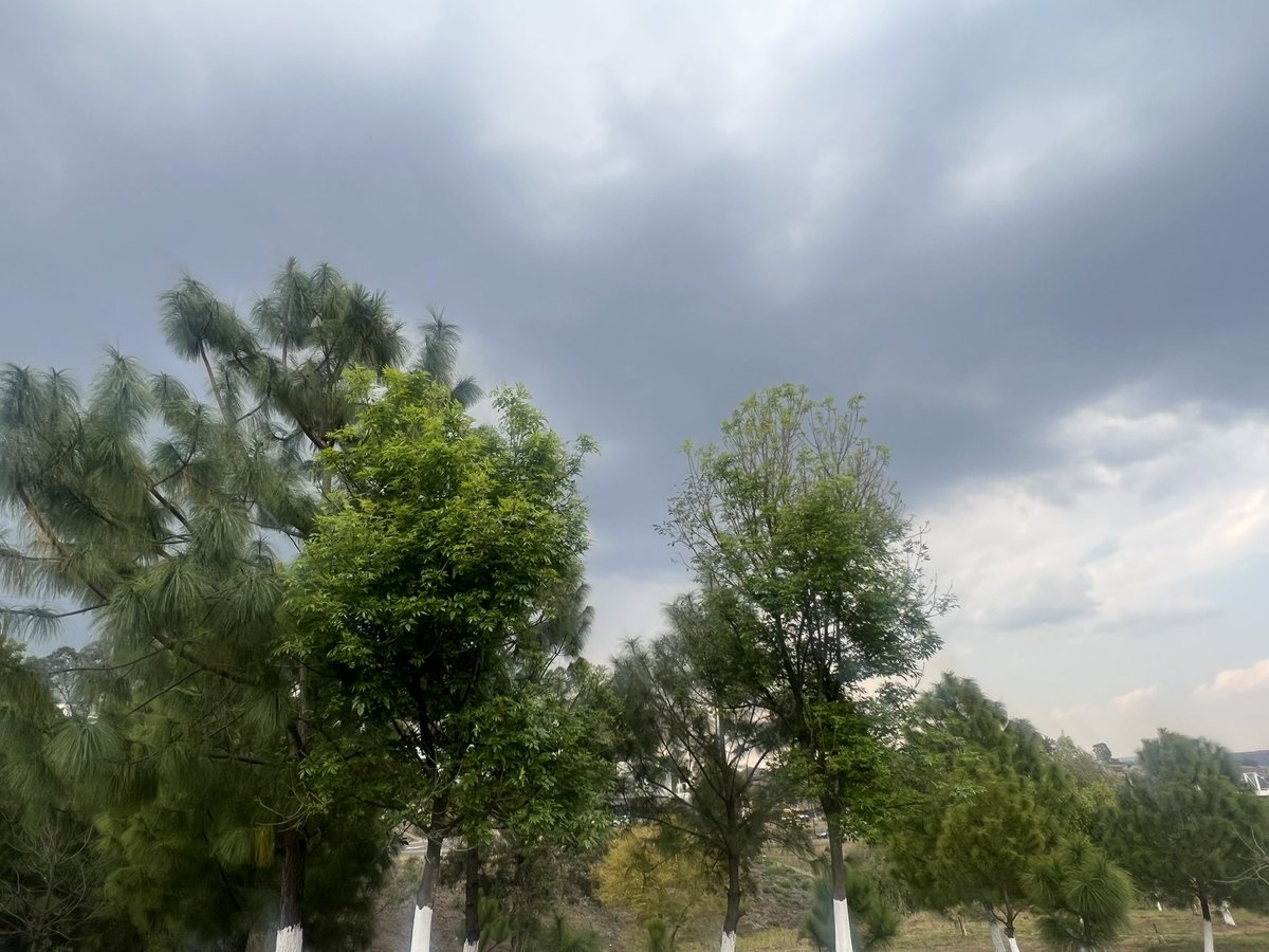 CynGard's tweet photo. Aún cuando llueve no deja de ser un día hermoso!! https://t.co/sYu0hBQIa6