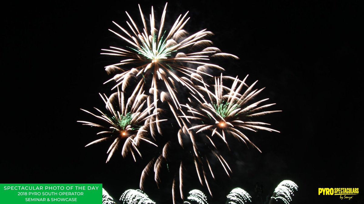 pyrospectacular's tweet image. Check out this stunning show from the Pyro South Operator Seminar! #fireworks #fireworksshow #fireworkshow #fireworksnight #fireworksdisplay #fireworksphotography #firework #fireworkdisplay #fireworknight #photography #fireworksfun #fireworkphotography #pyro #pyrotechnics