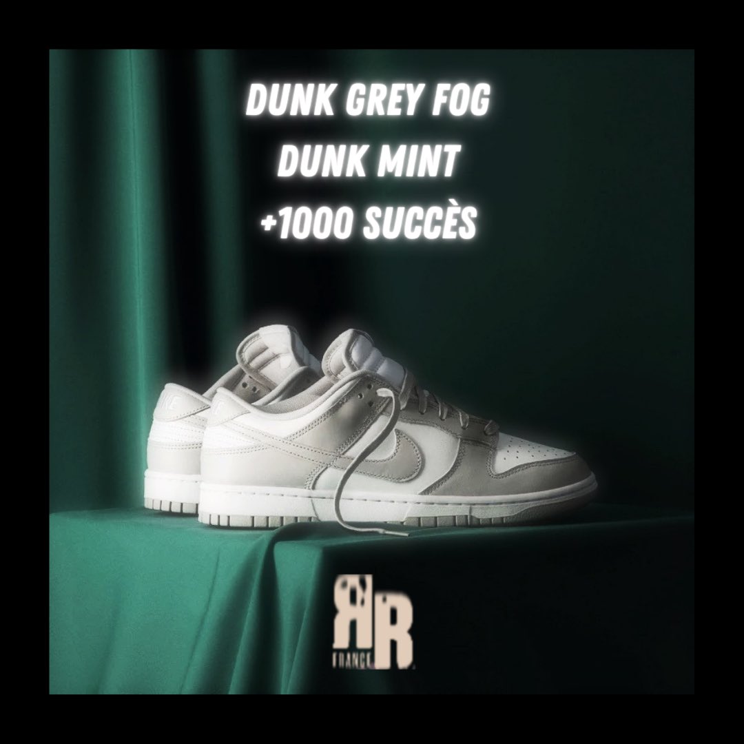ErrorFrance's tweet photo. Bonsoir, 

Drop des Dunk low Grey Fog et Mint sur Nike ce matin. Inutile de vous dire que la régalade a été royale pour nos membres. 

+ de 1000 success, cela se passe de commentaires. 👀 https://t.co/CsP7PZ8jG5