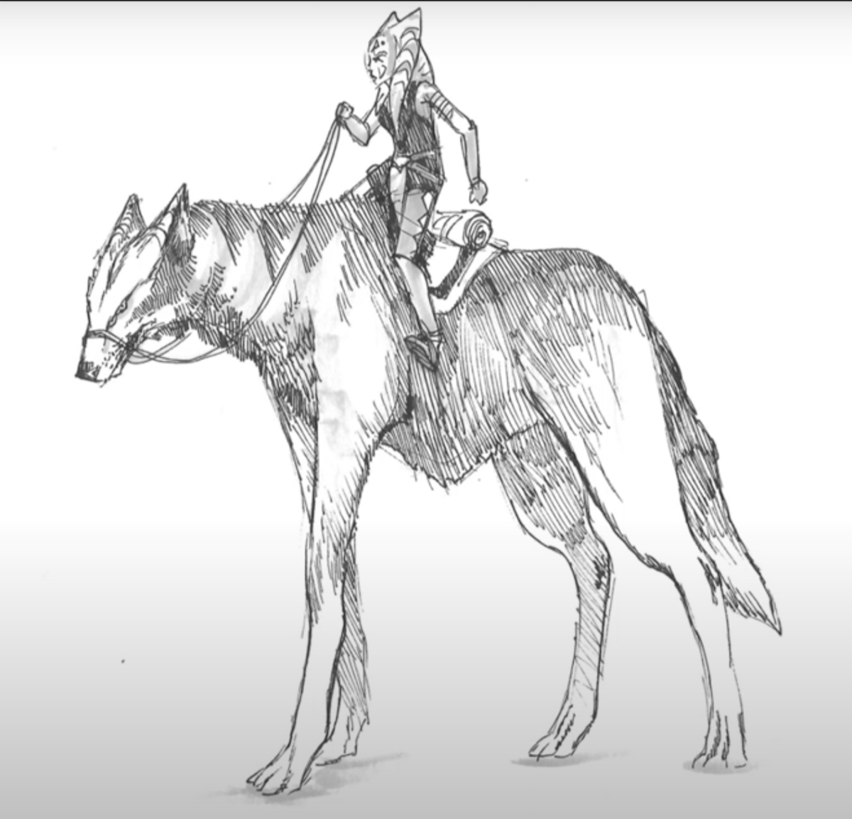 starwarstufff's tweet photo. The wolves will be coming to live-action in AHSOKA!

Rosario Dawson's character will wear a white cloak and ride a horse, which will stand in for a giant white wolf.

(@MakingStarWars https://t.co/ocwOUMa7f3) https://t.co/brOXZ1viTK