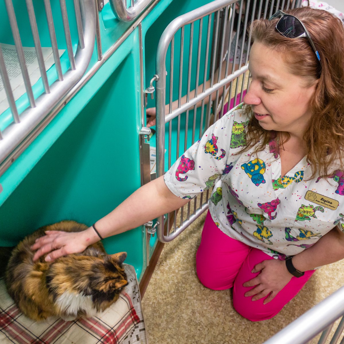 Phelps Veterinary Hospital tweet media
