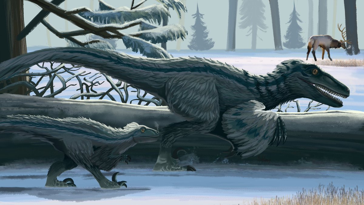 ArtBahlam's tweet photo. Hello, I'm Kevin and I'm looking into doing work around animation, comics, or books. Characters, backgrounds, props, you name it! #PortfolioDay Have fun everyone!
Website: https://t.co/RhzPjtTapZ
E-Mail: riveraykev@gmail.com https://t.co/kpf369vUWP