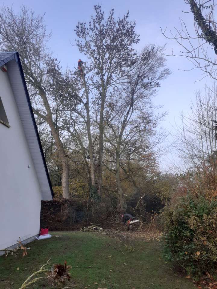 moto27_robin's tweet photo. Un beaux chantiers comme ont les aimes https://t.co/bMpfhHhY7h