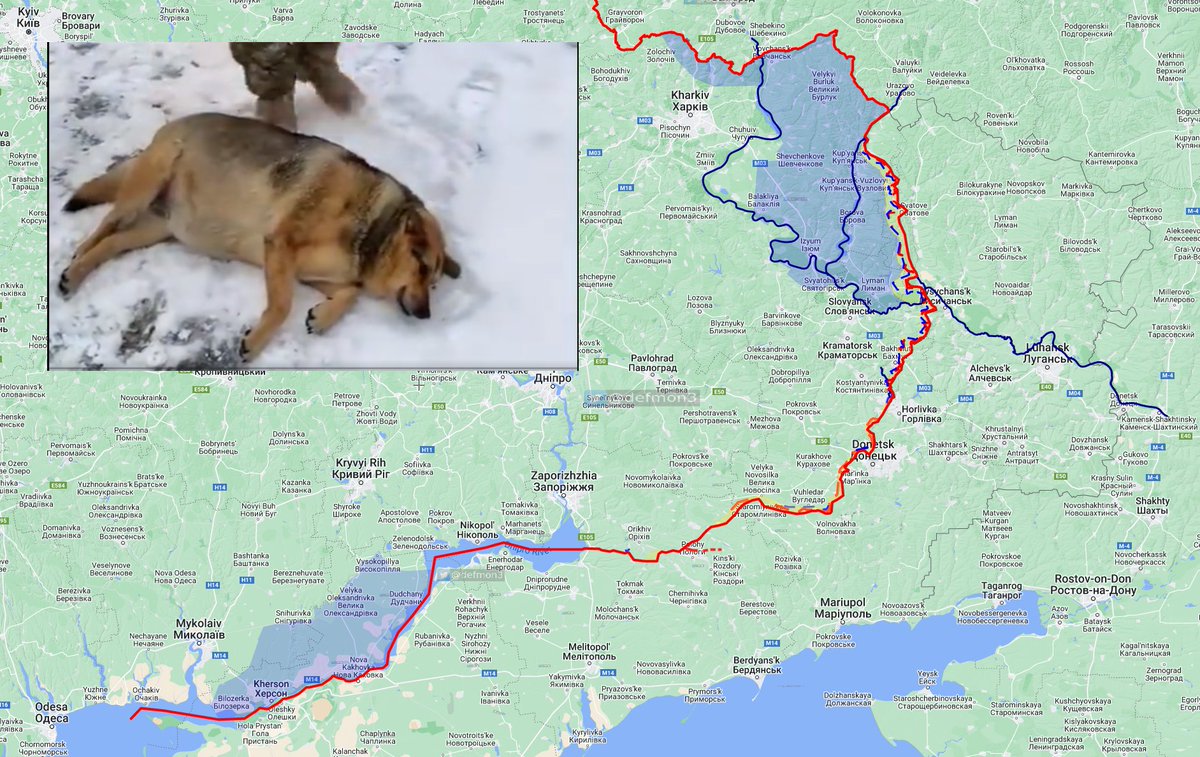 Ukraine update🧵 January 10th This thread is brought to you by one well fed Bakhmut dog. I'm not sure I want to know what he had for dinner. It would be helpful if you like and retweet this tweet.