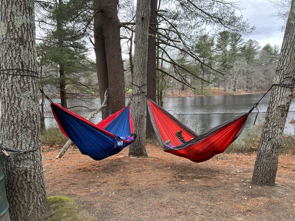 Thea Goncalves tweet media