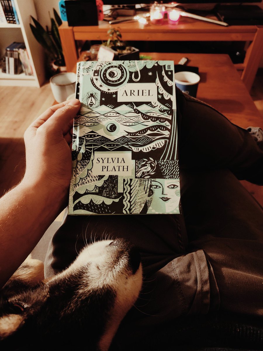 GianlucaCalio's tweet image. It&apos;s raining outside. The doggo is keeping me warm. I have lighted up some candles for a sprinkle of dark academia vibe. 

What more could I want? 

#sylviaplath #academicstudy #poetry