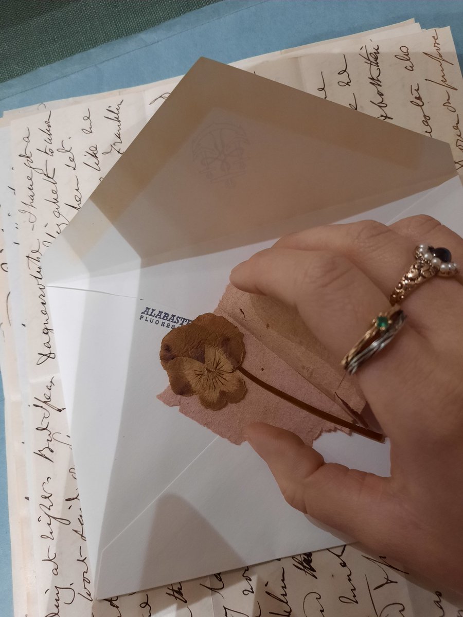 CaptFitzjamesRN's tweet photo. Such a special day! Visited William Coningham's great great grandson and was able to see Fitzjames' original letters. He sent this flower to Elizabeth. ❤️ https://t.co/YsS2HkJPAZ