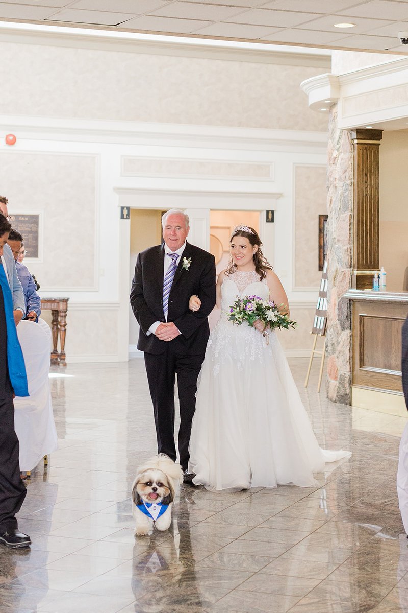 LastingEventsNF's tweet photo. We love when your furbabies are a part of your wedding day. Just look how cute this little one was all dolled up. 

Plus we are never mad about a few behind the scenes snuggles. 

@loriemarie_photo

#niagaraweddingplanner #niagaraweddings https://t.co/mxVTJGi86Z