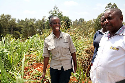 TechnoServe's tweet photo. You could work across the Burundi’s coffee ecosystem to address the issues that keep many farming families below the poverty line. We’re hiring for the Burundi Better Coffee Initiative. https://t.co/TQbJg7CC4L
#workwithTechnoServe #devjobs #internationaldevelopment #workwithus https://t.co/32Otm5i3KX