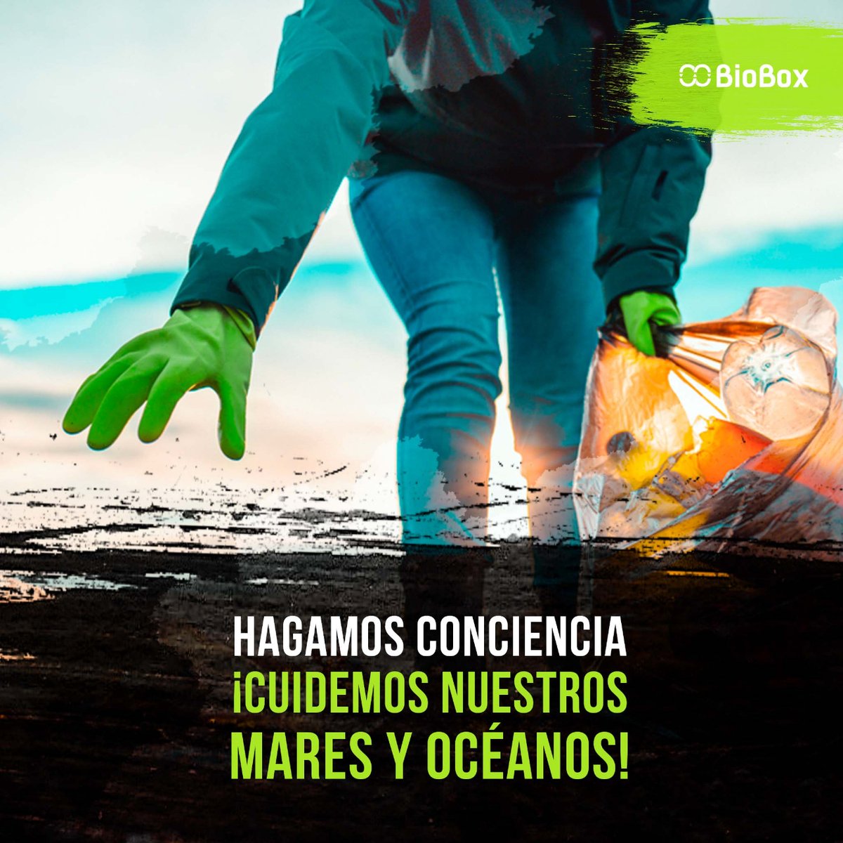 BioBox_Mx tweet picture