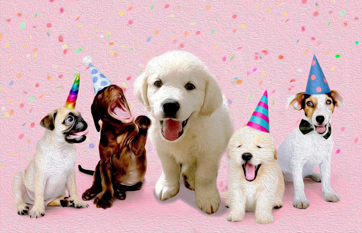 On February 4, 2023, from 1:00 pm - 4:00 pm, we are throwing a party for people and pets alike. Bring your family and furry friends to Austin Subaru where we will have food trucks, games, activities (for your pets and your kids), dog adoptions, and more!

#subaru #subarudogs