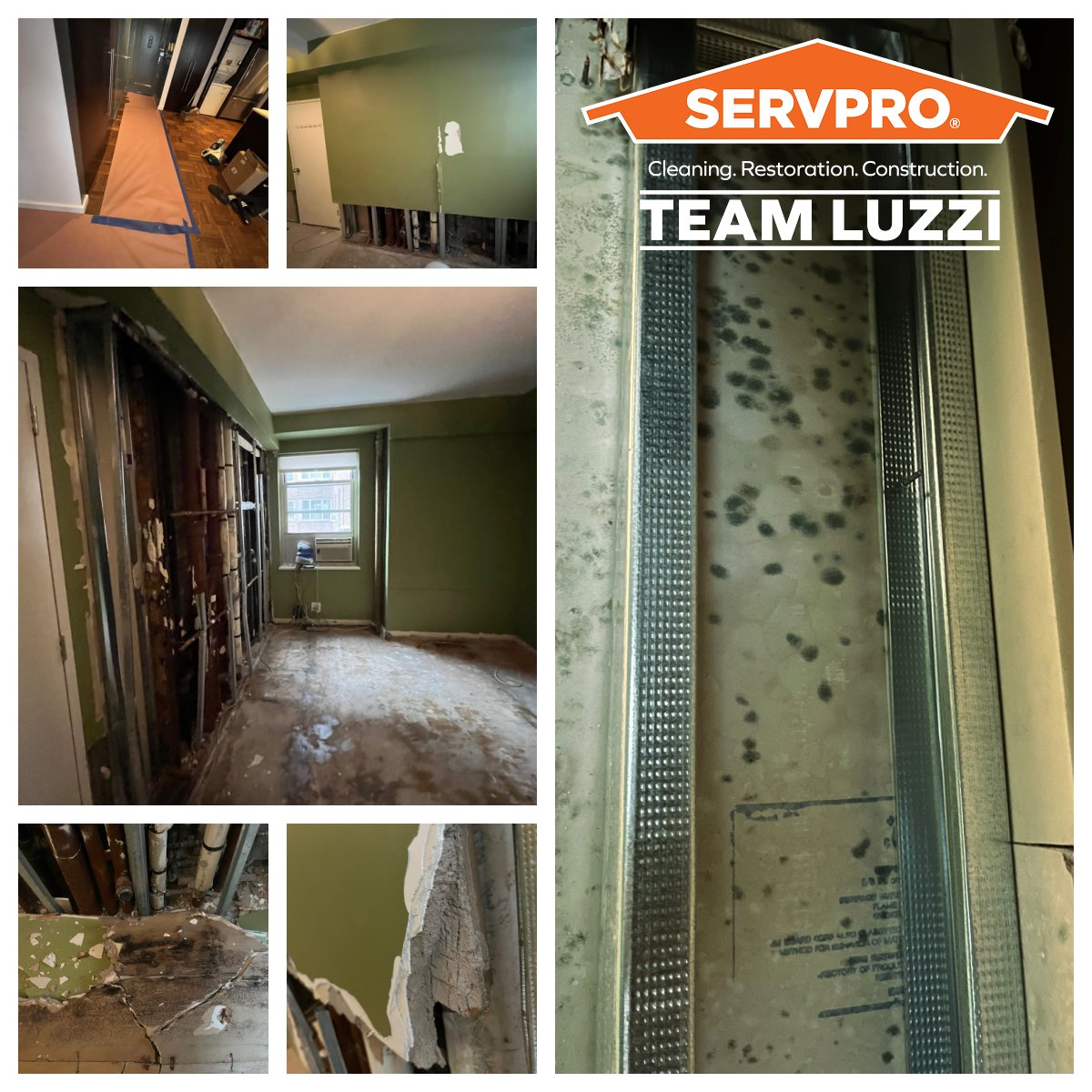 SERVPRO Team Luzzi is a trusted leader in mold remediation and demolition services. Our team of certified professionals has the expertise and equipment necessary to safely and effectively remove mold from your home or business.