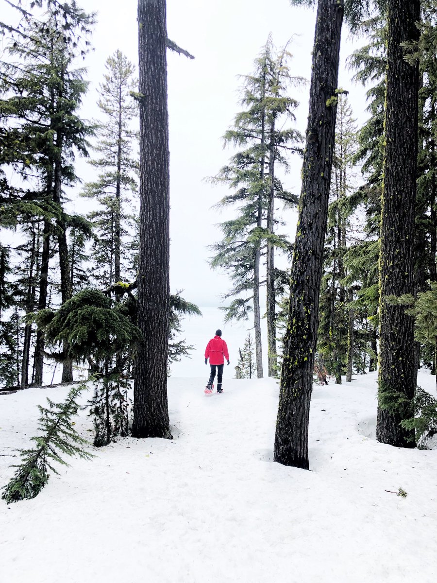 SCOUT Magazine (@scoutmagazine) on Twitter photo Looking for interesting new ways to work exercise into your life, while also having fun? Consider snowshoeing! <a href="/Mt_Seymour/">Mt Seymour</a> offers a range of cool tours and events to get you out into the frosty forest (even a “Chocolate Fondue” tour). Find out more: mtseymour.ca/winter/snowshoe Looking for interesting new ways to work exercise into your life, while also having fun? Consider snowshoeing! <a href="/Mt_Seymour/">Mt Seymour</a> offers a range of cool tours and events to get you out into the frosty forest (even a “Chocolate Fondue” tour). Find out more: mtseymour.ca/winter/snowshoe