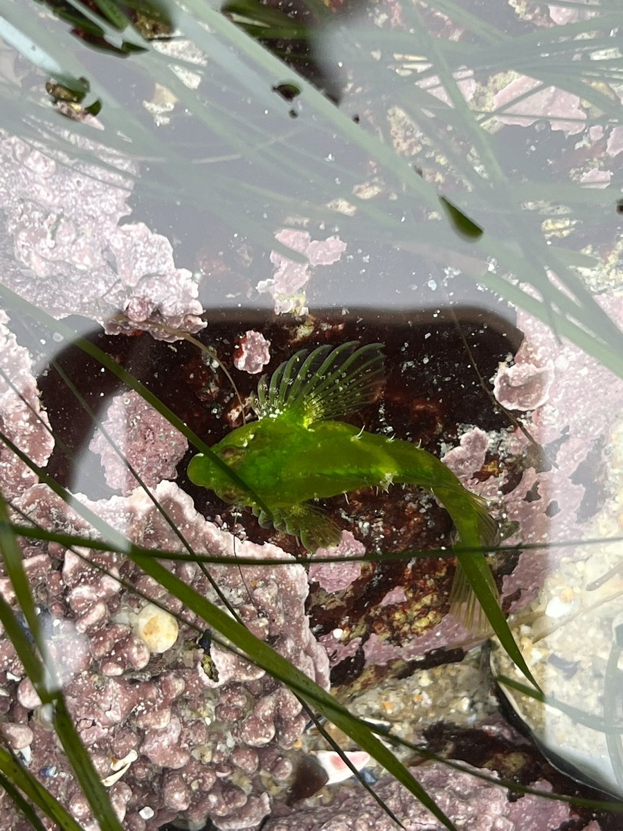 Kenzie Pollard, M.Sc. tweet media