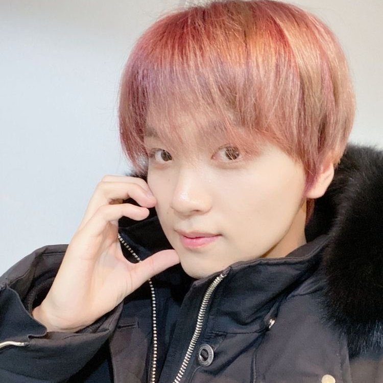 ₍ᐢ..ᐢ₎ tweet media